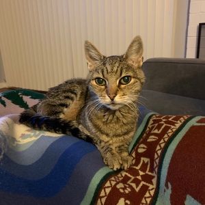 Meet your Posher, Amanda